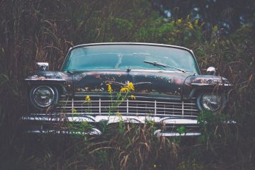 vintage-car-parked-besides-green-plants